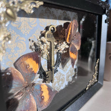 Load image into Gallery viewer, Real preserved Butterfly shadow box 9