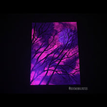 Load image into Gallery viewer, Majestic Nightfall